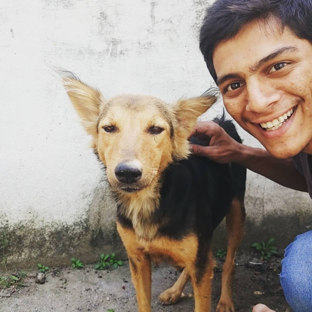 man with a stray dog