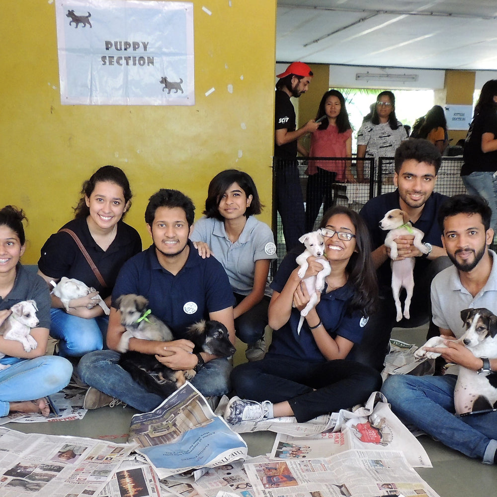 Volunteers with puppies