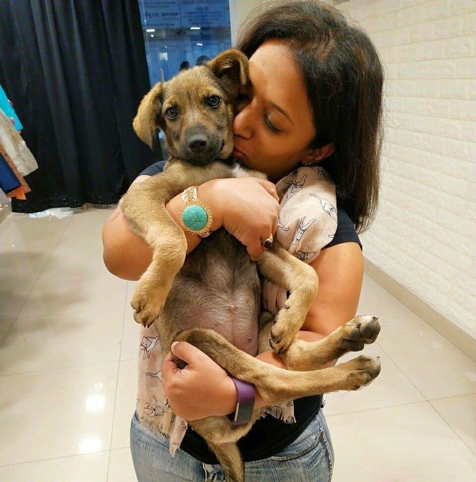 Woman hugging and kissing a puppy