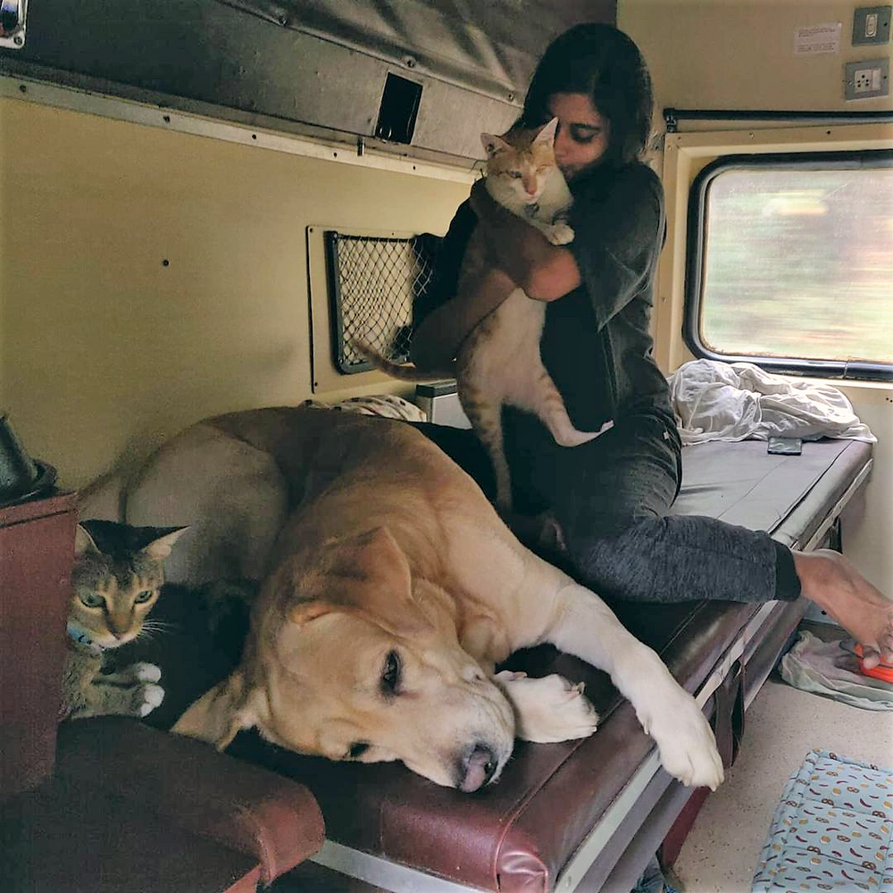 How To Travel With Your Pets In India (Railways) Floof