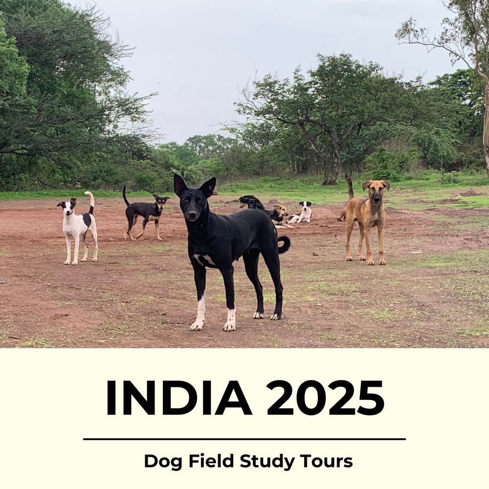 India Dog Field Visit Tours 2025