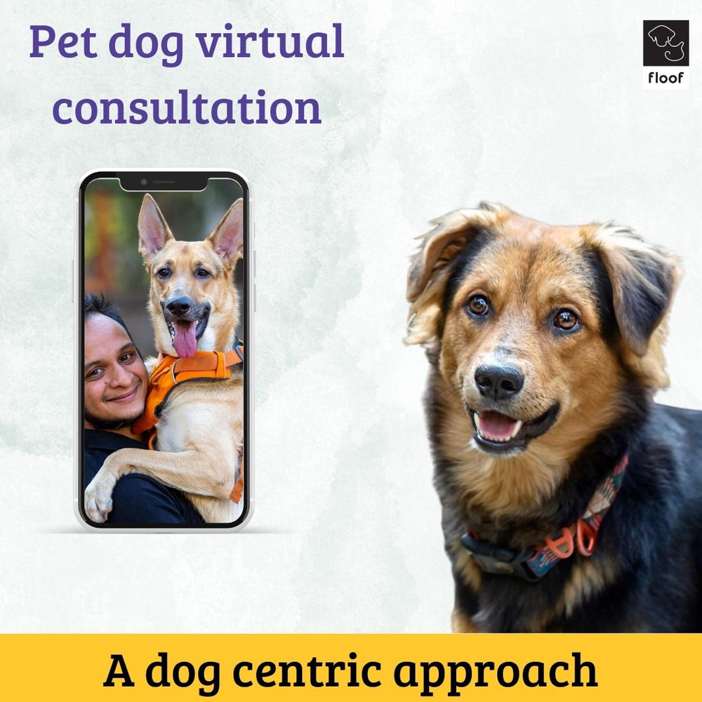 Virtual Dog Behaviour Consultation - A dog centric approach