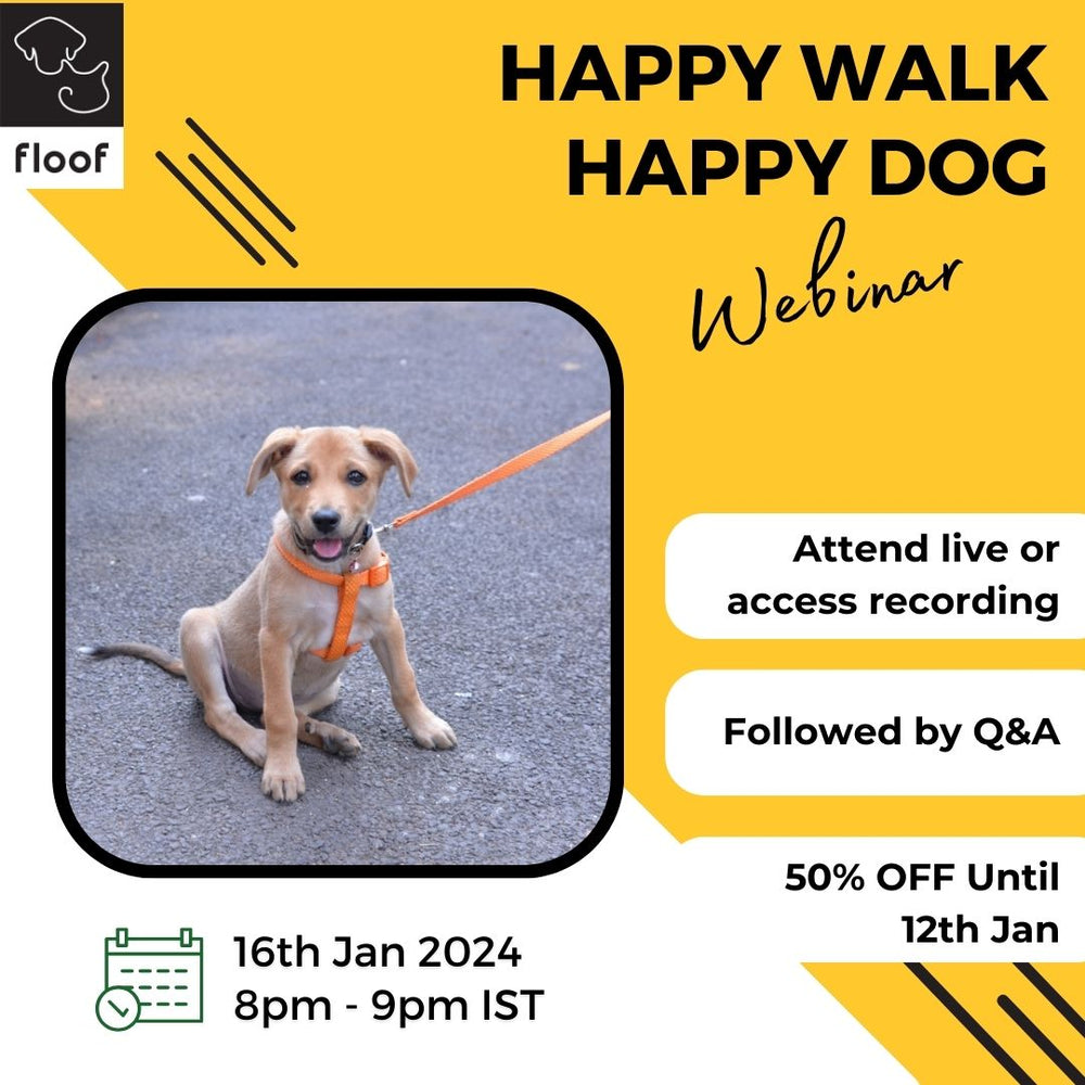 Happy Walk Happy Dog Webinar - 16th Jan 8-9 PM on Google meet