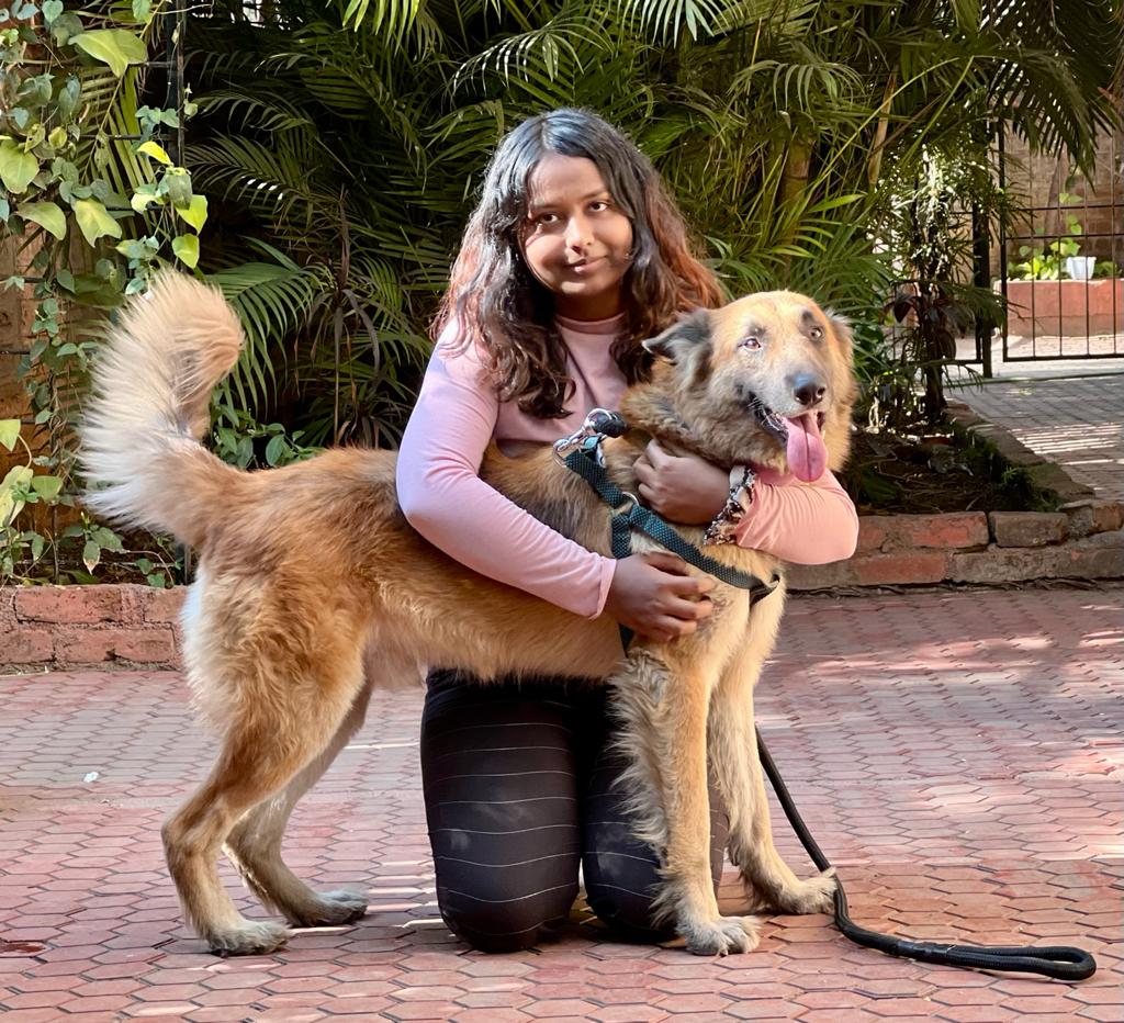 
                  
                    Floof pet photo shoot for dogs and cats in Pune India
                  
                